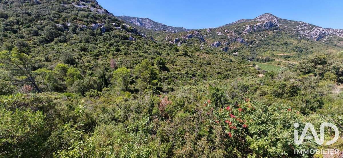 Terrain 9404 m² à Embres-Et-Castelmaure  - photo 5