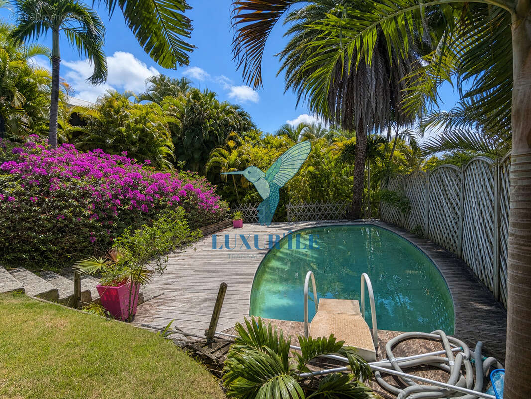 Dampierre   Le Gosier  Charmante villa 4 chambres avec piscine, jardin tropical et aperçu mer - photo 27
