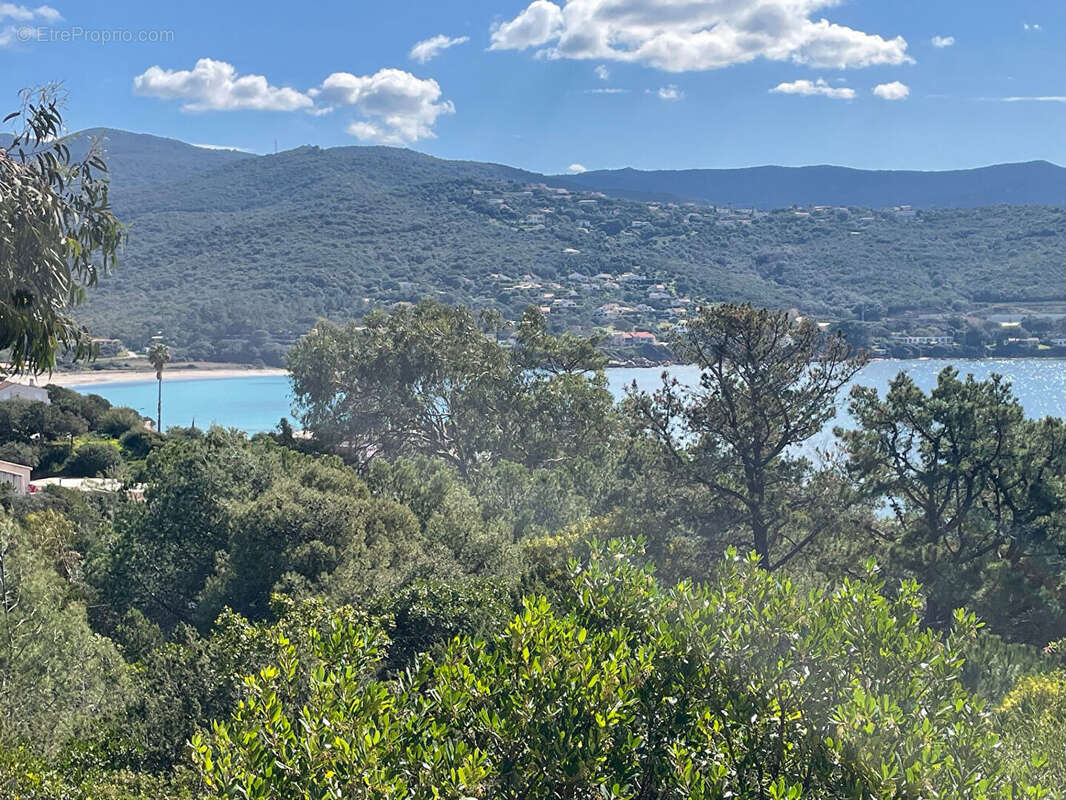 Autre à PIETROSELLA