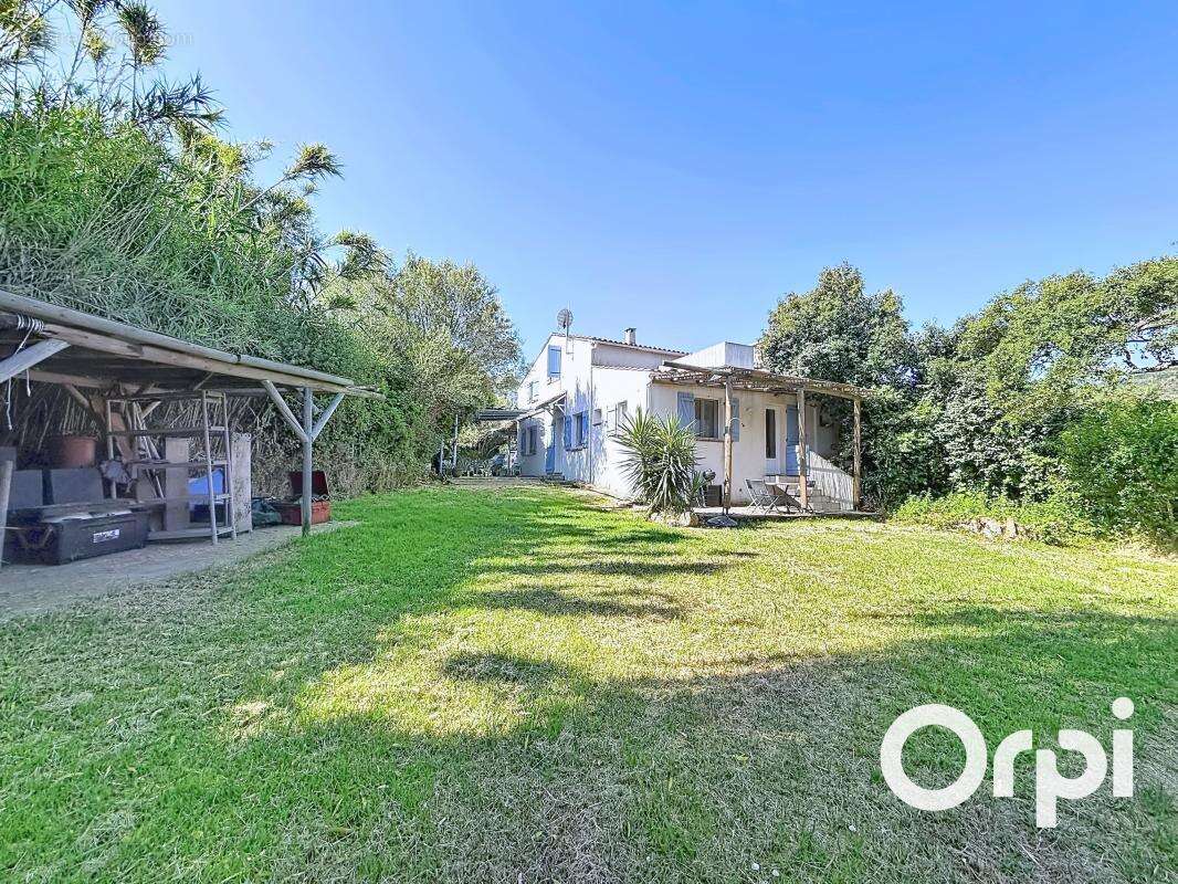 Palombaggia - Villa 3 chambres - photo 13