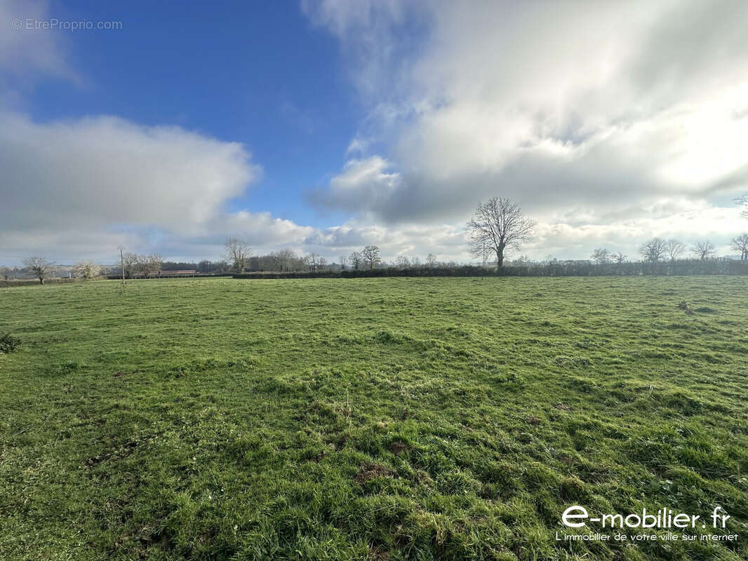 Maison à SAINT-CHRISTOPHE-EN-BRIONNAIS
