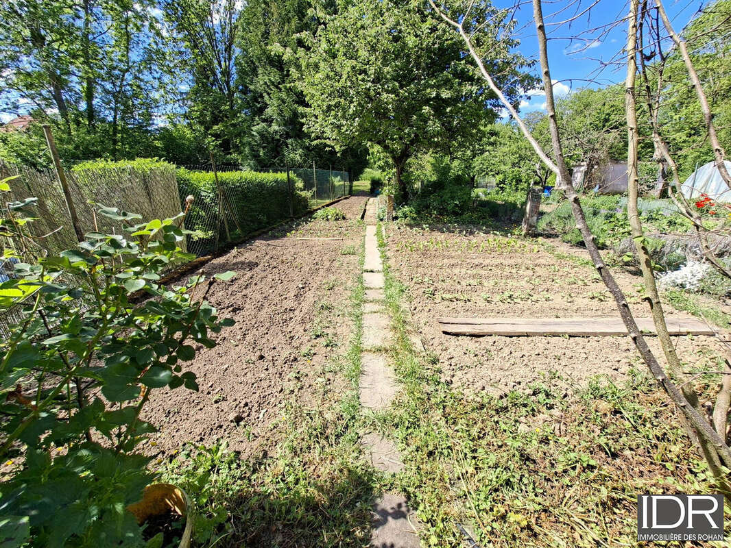 Maison à MARMOUTIER
