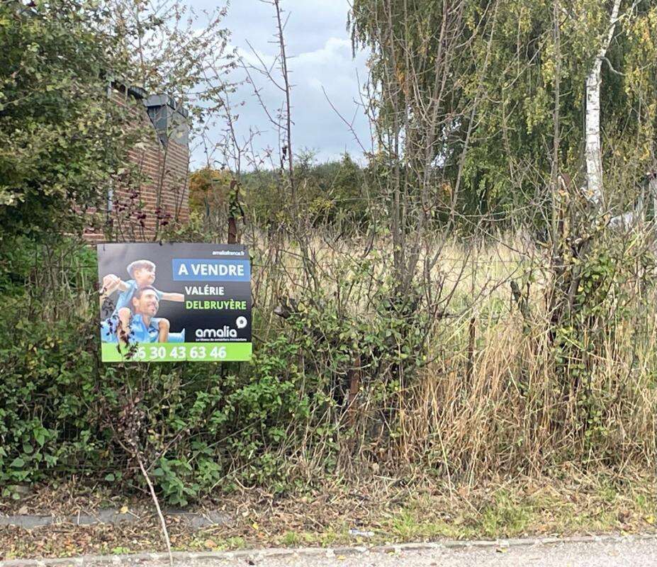 Terrain à POMMEREUIL