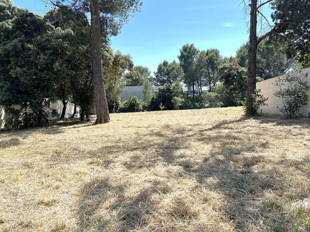 Terrain à VILLENEUVE-LES-AVIGNON