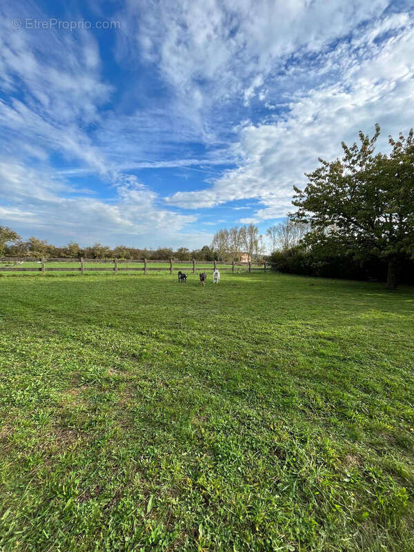 Photo 5 - Maison à LAIZE