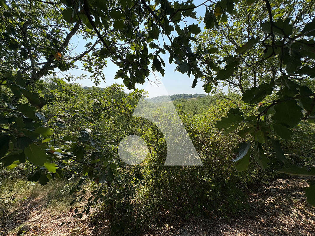 Terrain Saint-Étienne-de-fontbellon 2970 m2 - photo 2