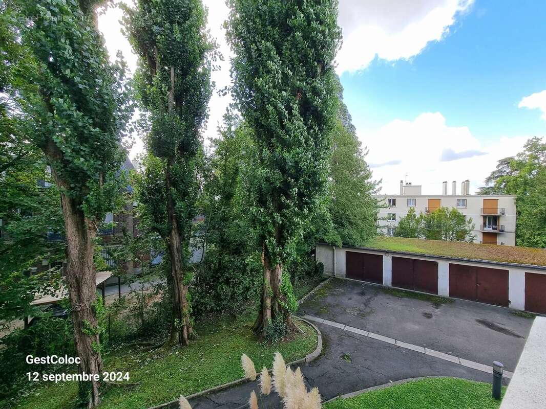 Volumes, lumière, verdure : 4 pièces au Raincy - photo 5