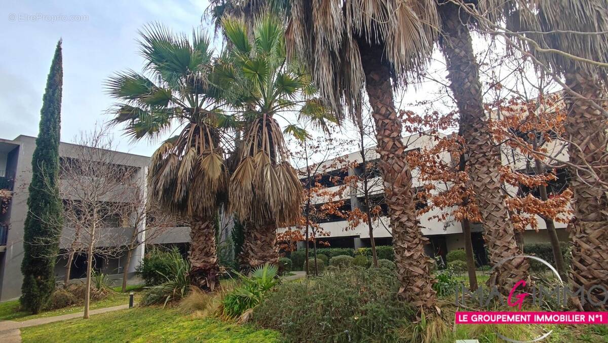 Appartement à MONTPELLIER