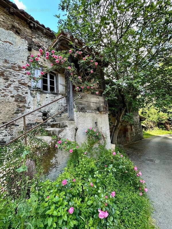 Photo 1 - Maison à ROQUECOURBE