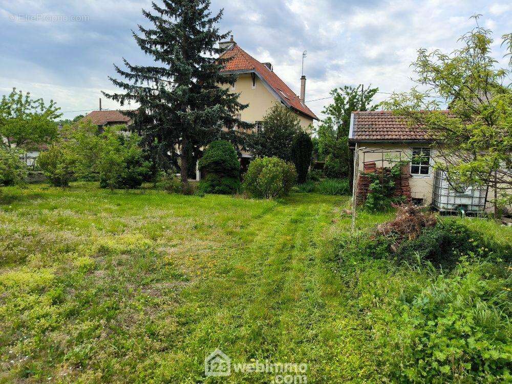 Erigée sur un terrain arboré entièrement clos de 980 m² - Maison à VAILLY-SUR-AISNE