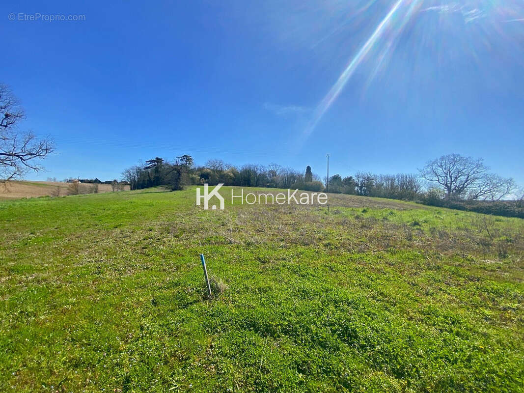 Terrain à CASTILLON-SAVES
