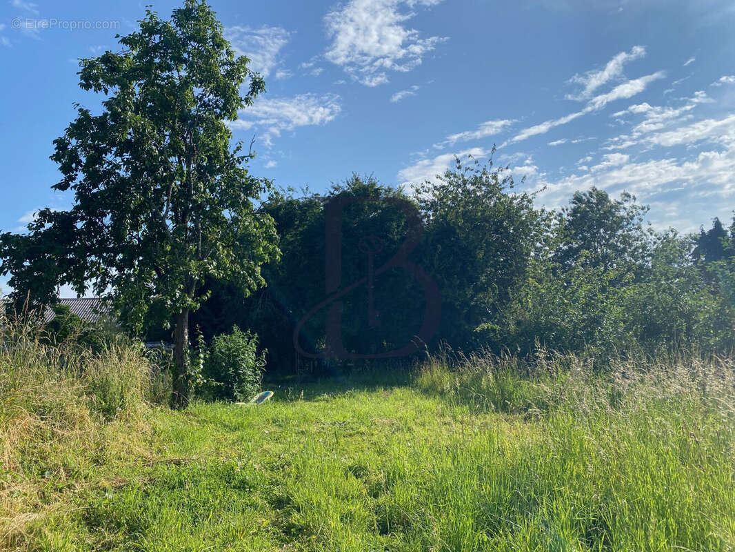 Maison à BEAUCHAMPS