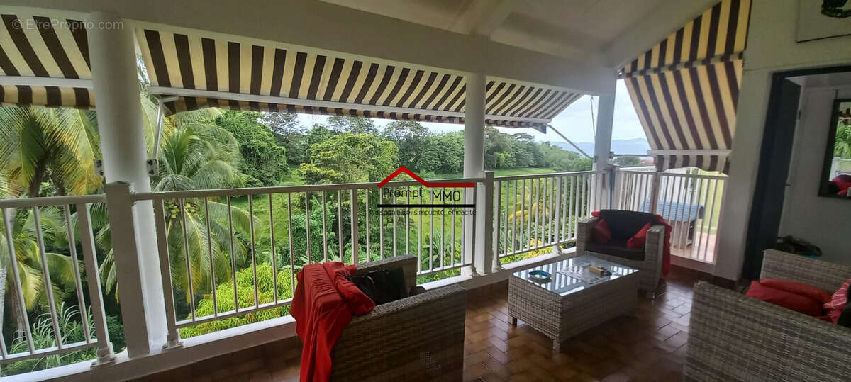 TERRASSE RDC - Maison à SAINT-JOSEPH