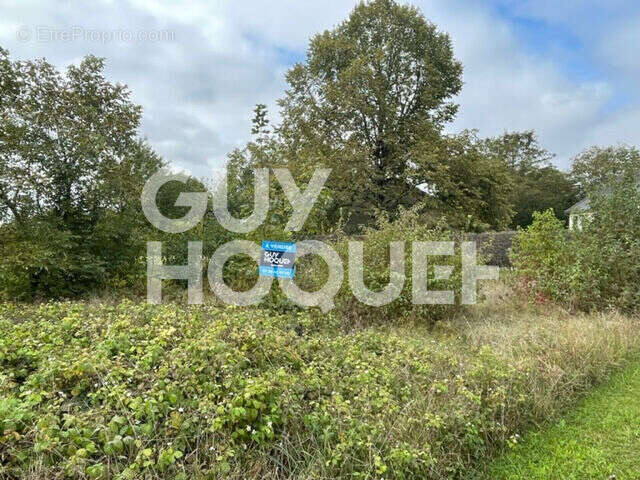 Terrain à FERE-CHAMPENOISE