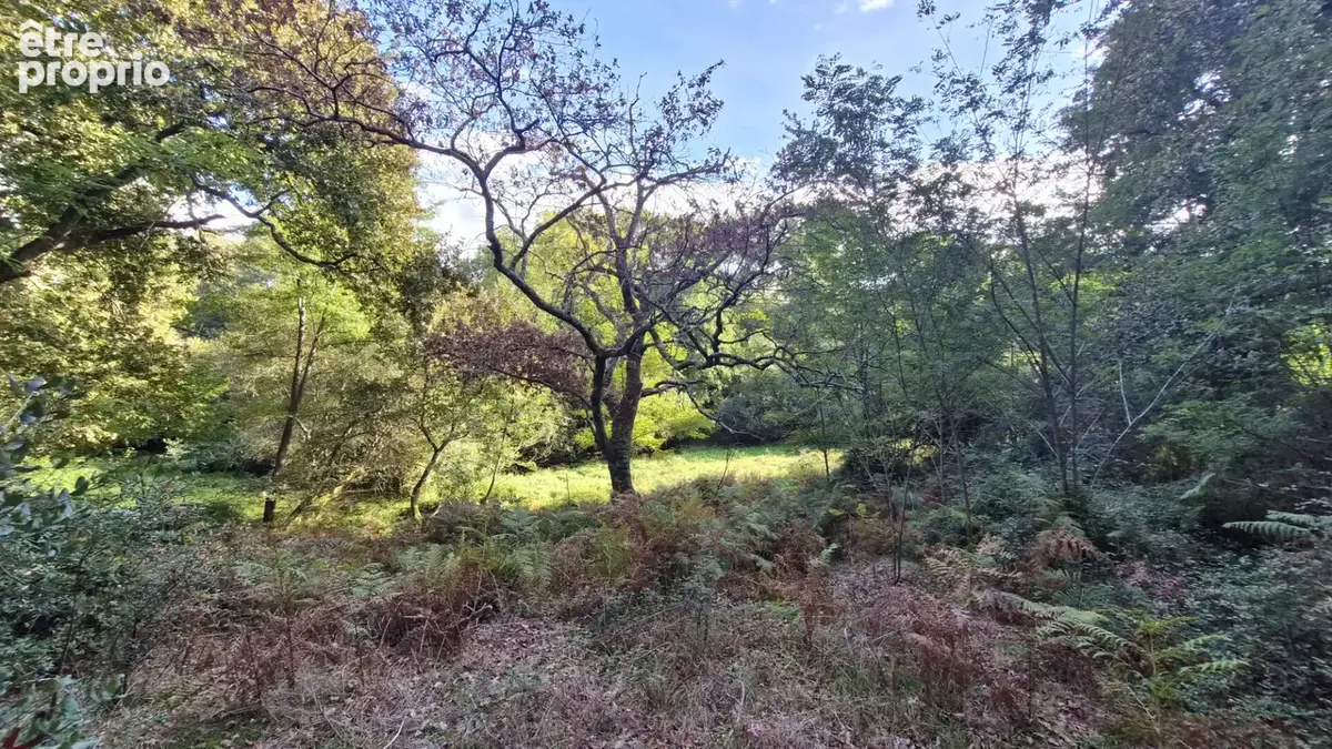 Authentique airial landais a proximite du bourg de linxe - photo 7