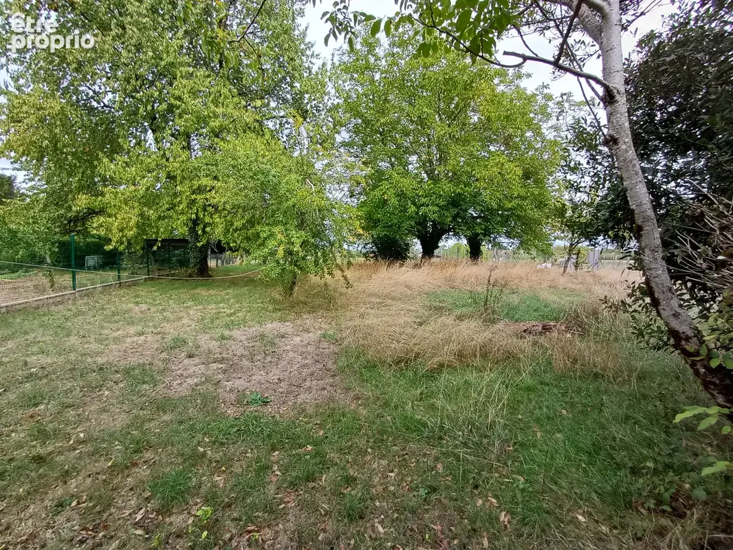Maison avec grand terrain, verger et dépendances - photo 3