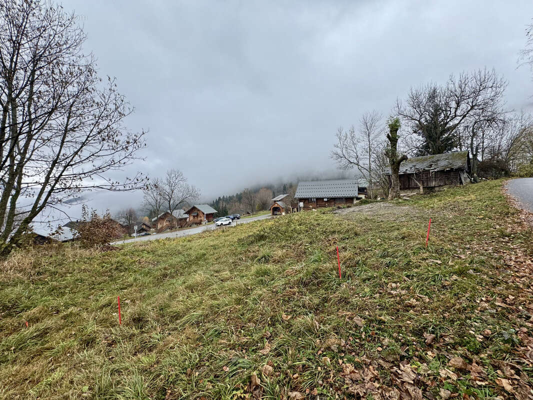Terrain à SAINT-PANCRACE