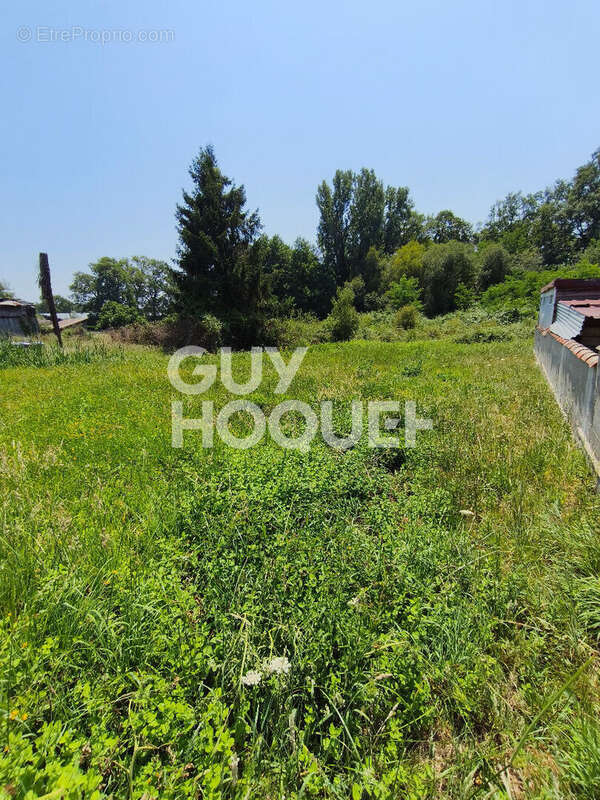 Maison à renover sur terrain de 1868m² - photo 4