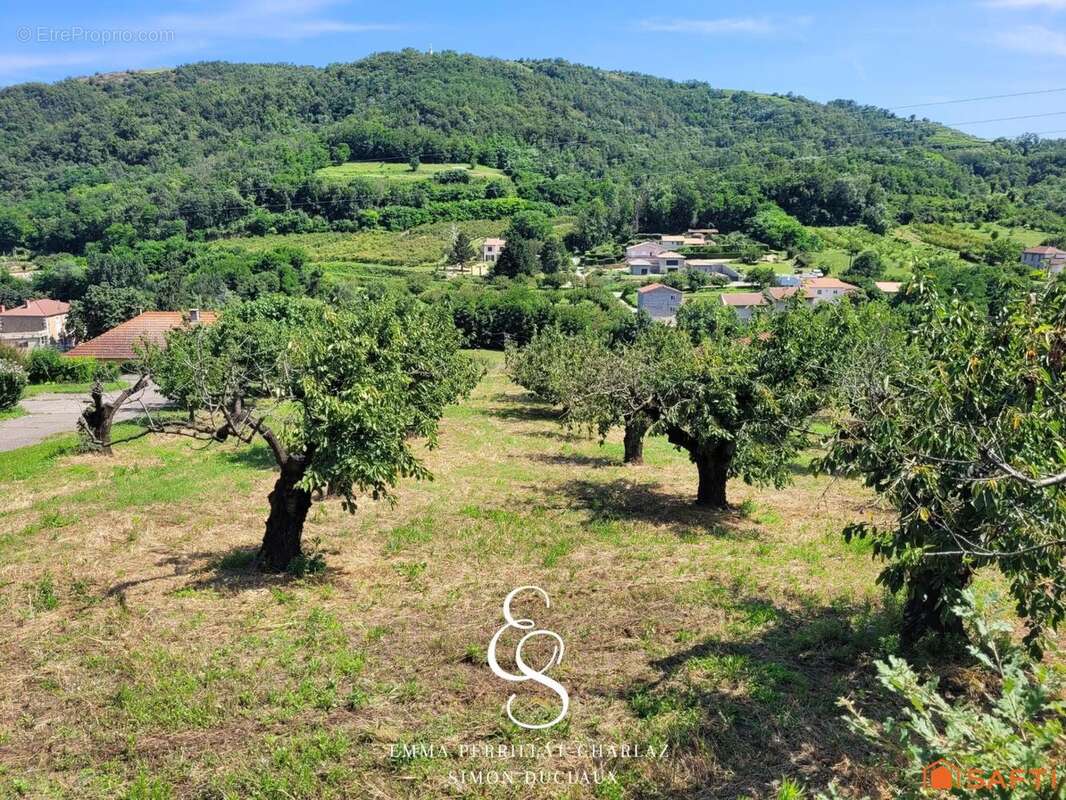Photo 3 - Terrain à SAINT-DESIRAT