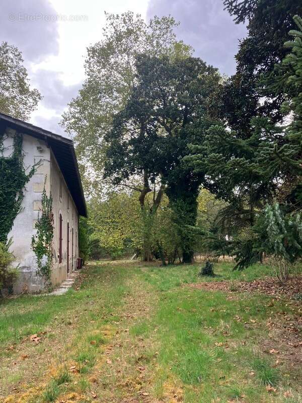Maison à LE TEICH