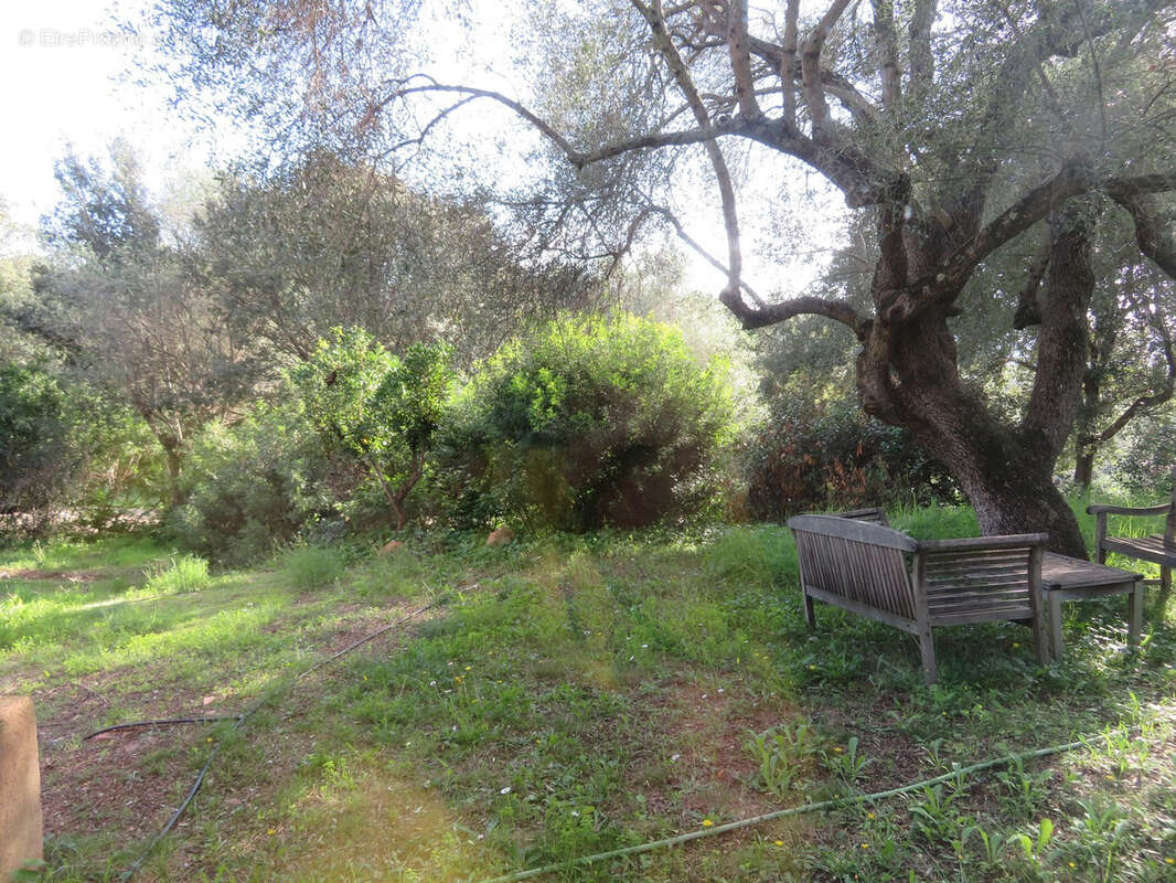 Maison à PORTO-VECCHIO