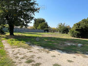 Photo 1 - Terrain à CHEVAL-BLANC