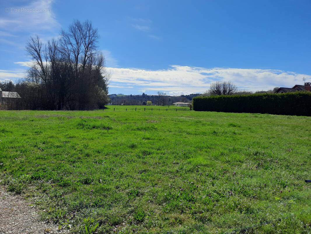 Terrain à COURPIERE