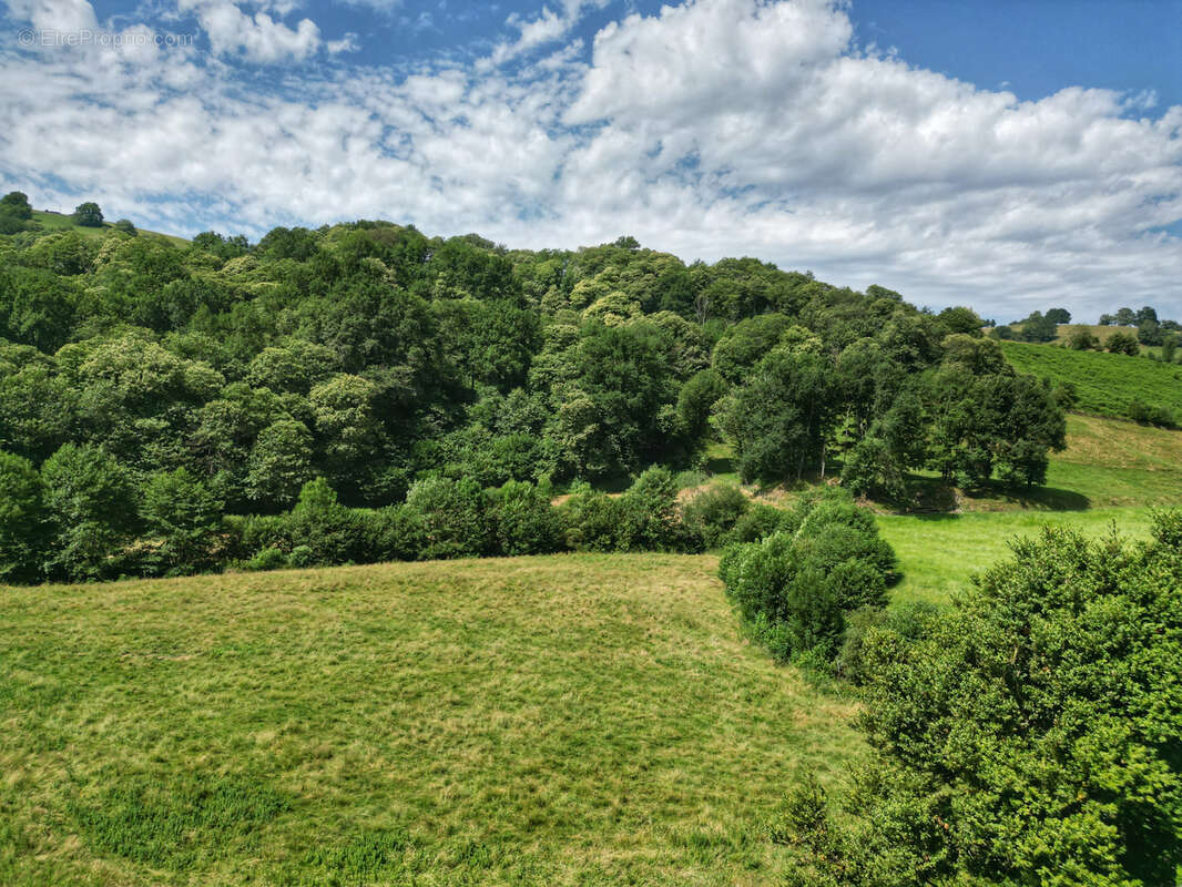 Maison mitoyenne en pierre à Urepel - photo 18
