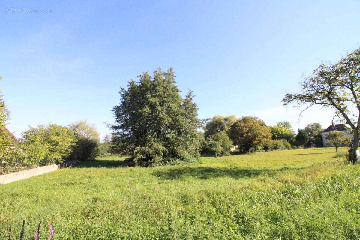 Terrain à AUXONNE