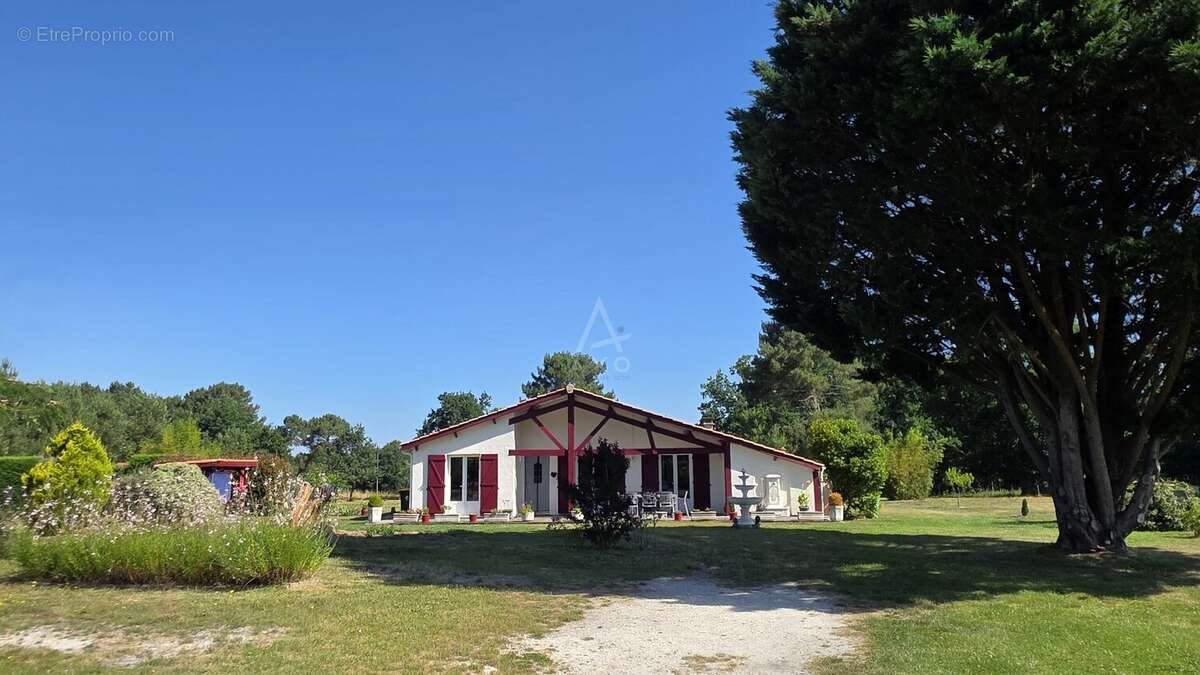 Exclusivité: Maison + un terrain constructible à SAINT SAVIN sur 5000m² - photo 8