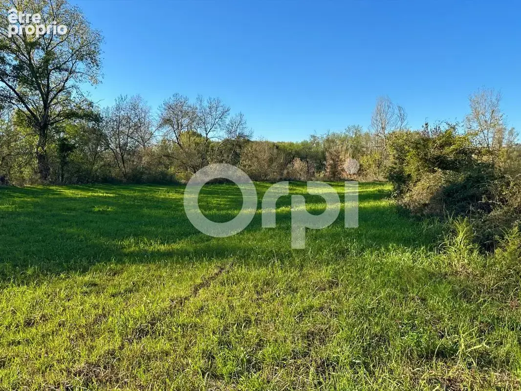 Terrain À Vendre 5 960 m² - photo 8