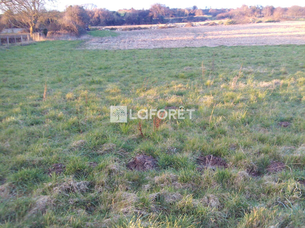 Terrain à MAINTENAY