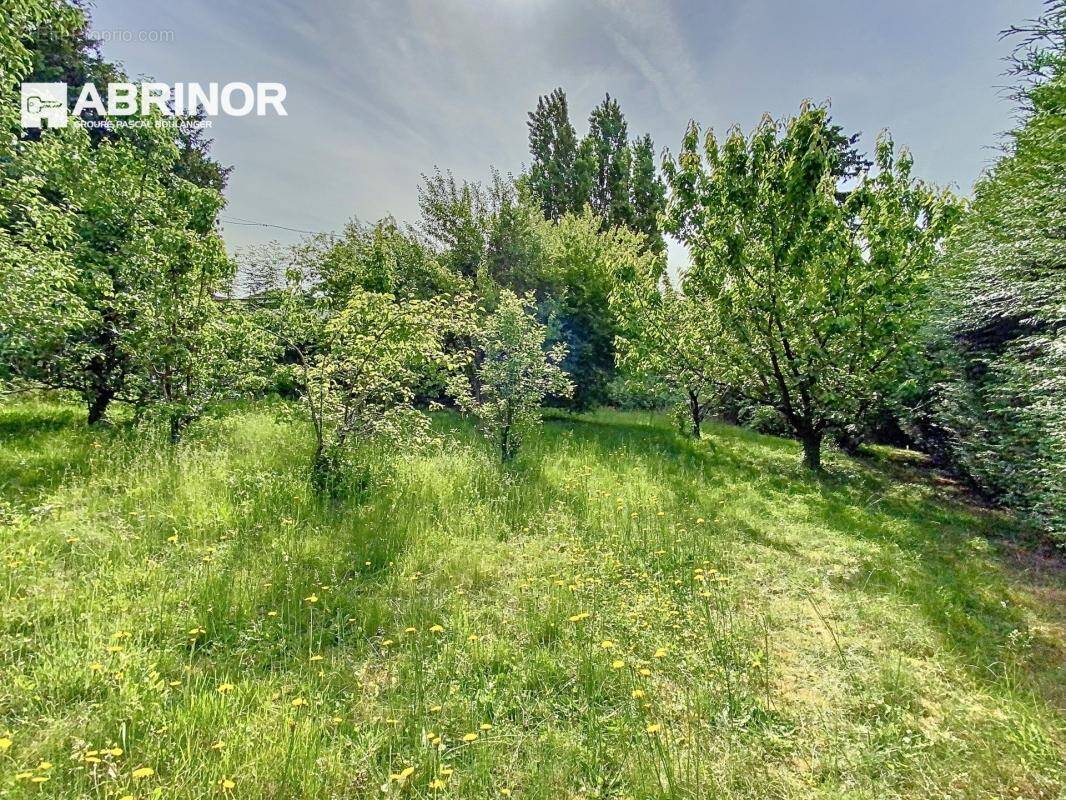 Terrain à RONCHIN