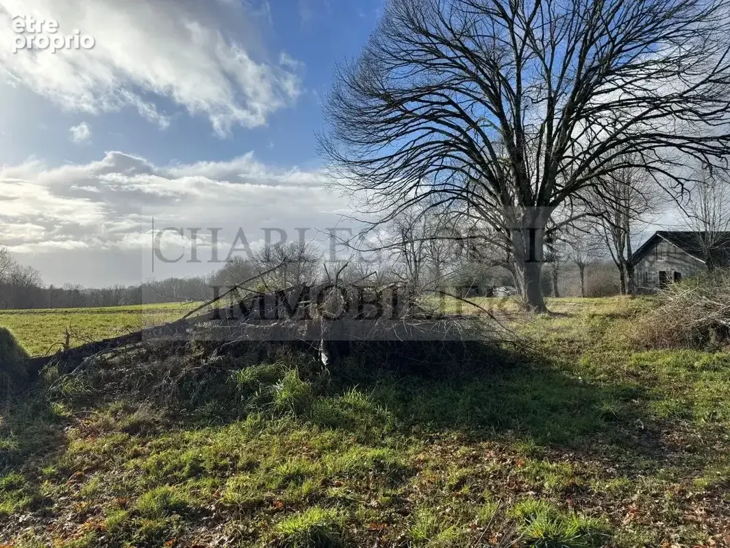 Ancien corps de ferme sur terrain de 6 ha - photo 4