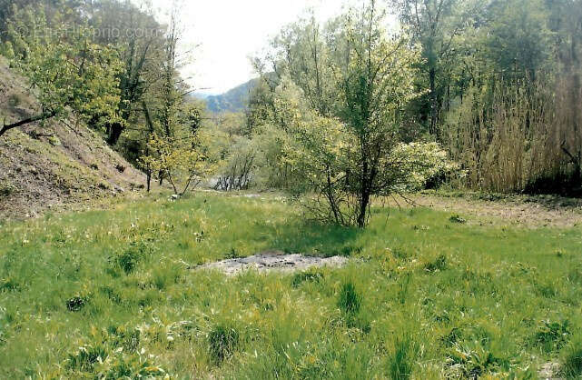 Terrain à PEILLE