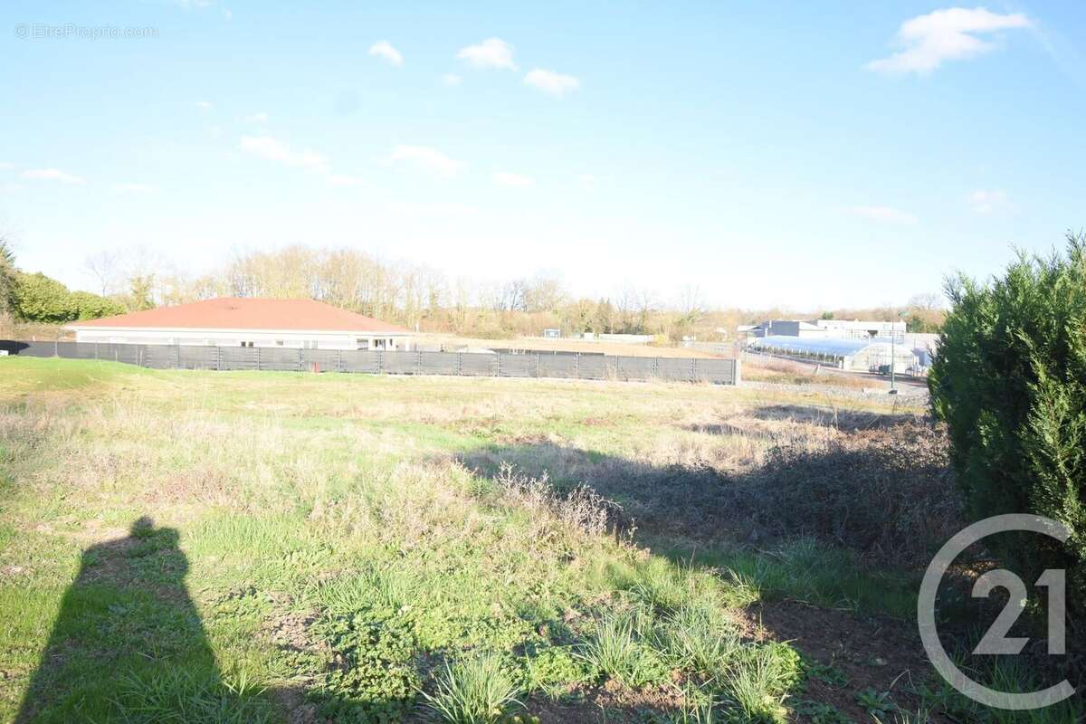Terrain à CREUZIER-LE-VIEUX