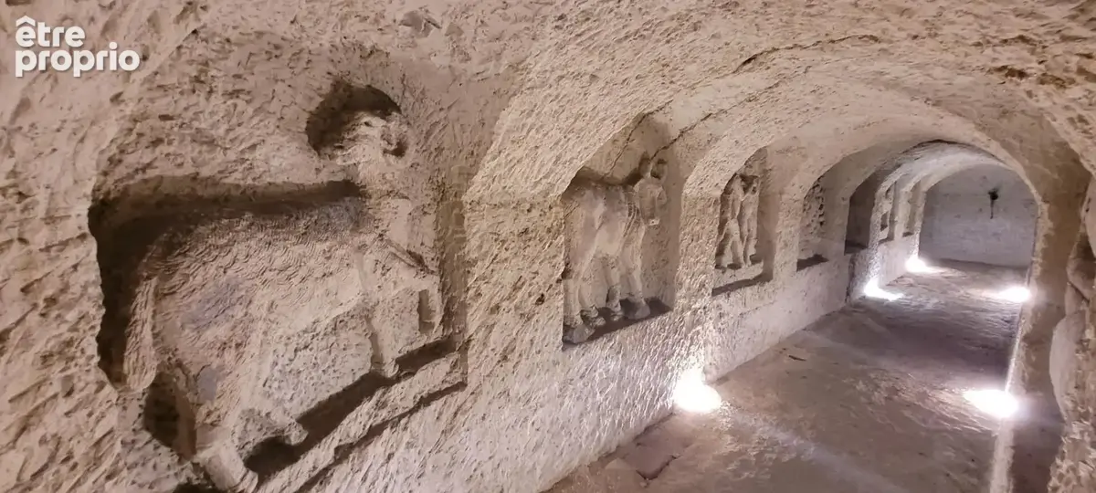 Manoir a la chartre sur le loir  et ses caves exceptionnelles - photo 18