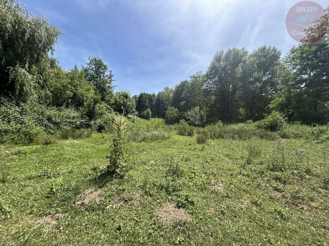L'authenticité cévenole dans un écrin de verdure - photo 7