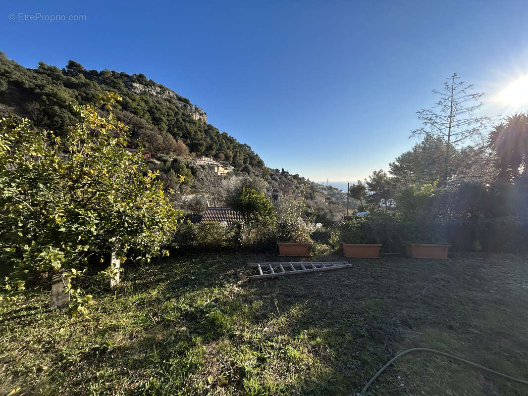 Terrain à LA TURBIE