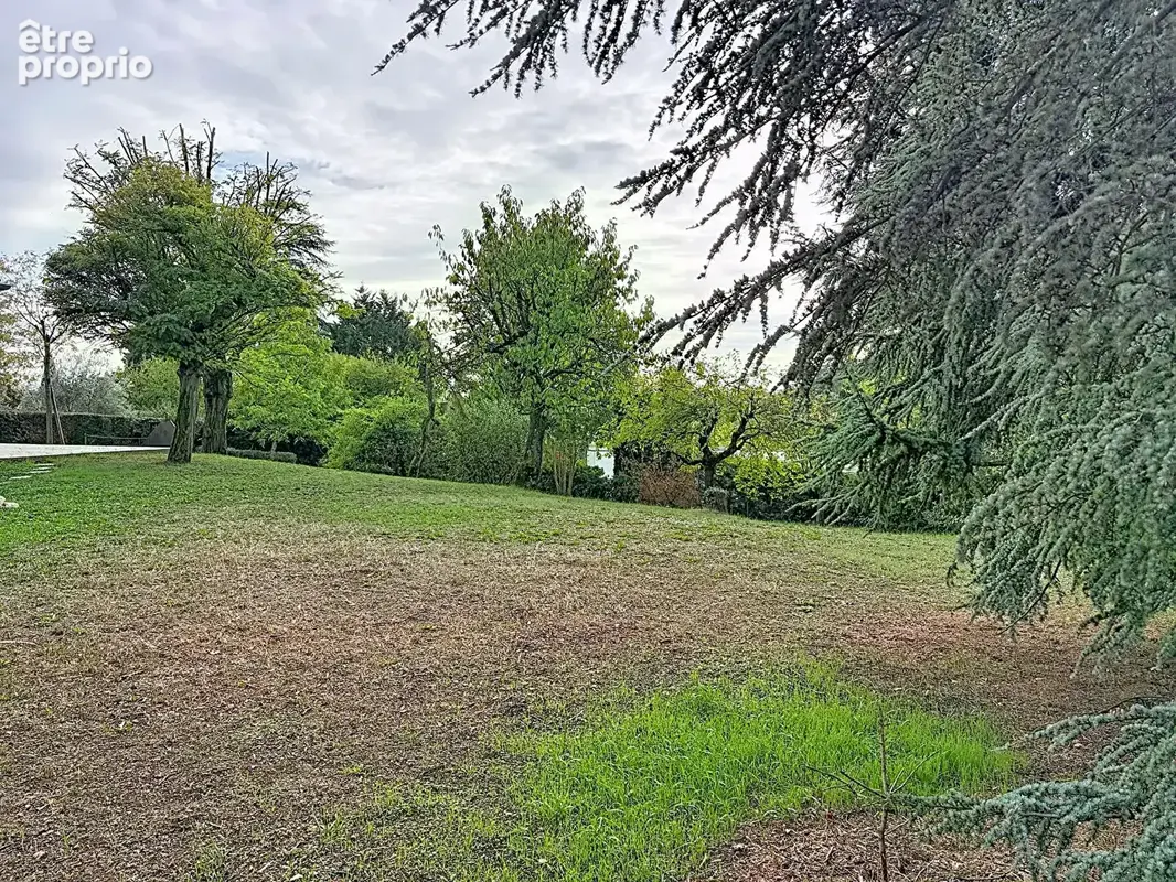 SAINT CYR AU MONT D'OR, maison familiale de 230 m² habitables + 150 m² utiles  sur terrain de  2974m² - photo 12