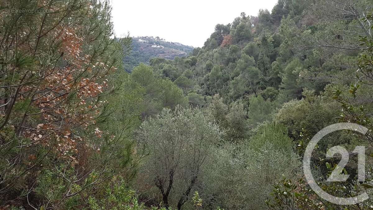 Terrain à COLOMARS