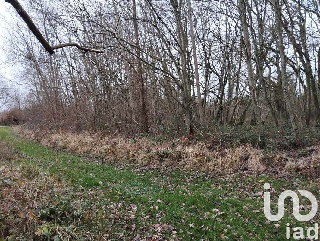 Photo 2 - Terrain à VEZILLY