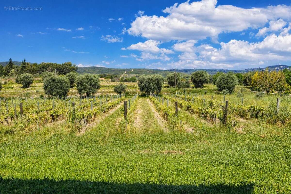 Maison à LE CASTELLET