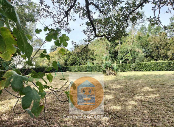 Maison de village T3, 75 m² hab. sur 2245 m² de terrain - photo 17
