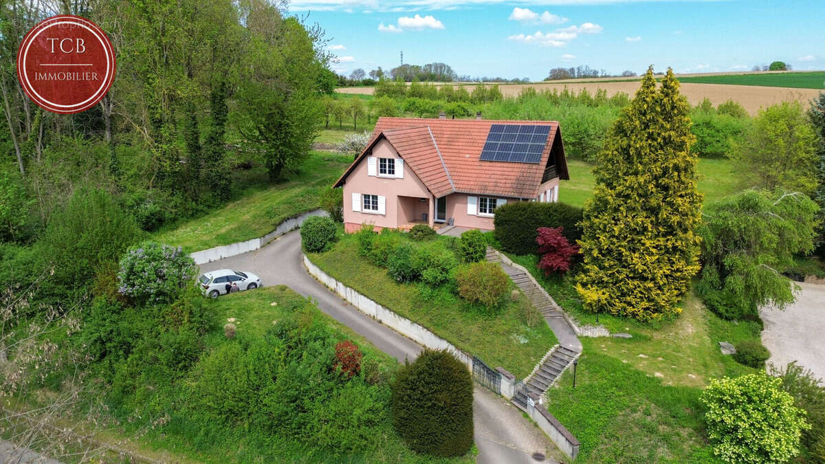 Maison Waltenheim 7 pièce(s) 175.55 m2 - photo 3