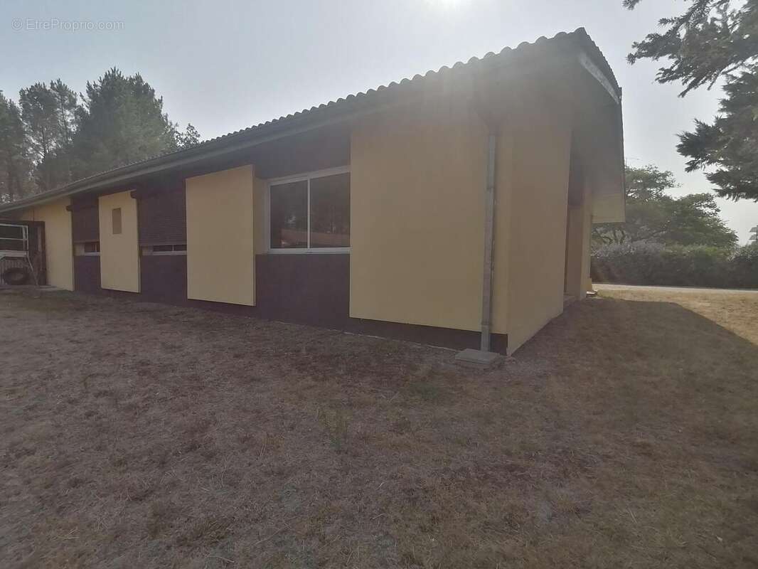 Maison 215 m² à Luxey  - photo 2