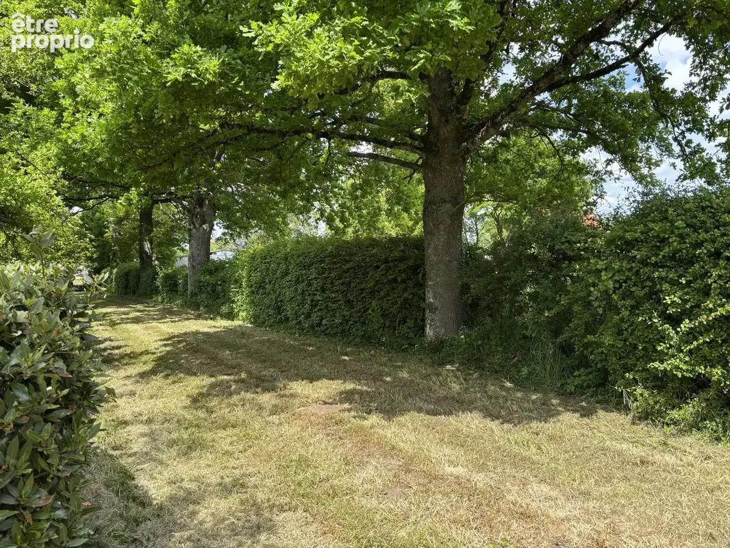 Voussac   Maison avec grande grange sur 3,89 hectares de terrain - photo 34