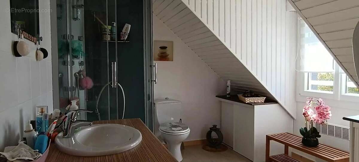 Maison à SAINT-THURIAU