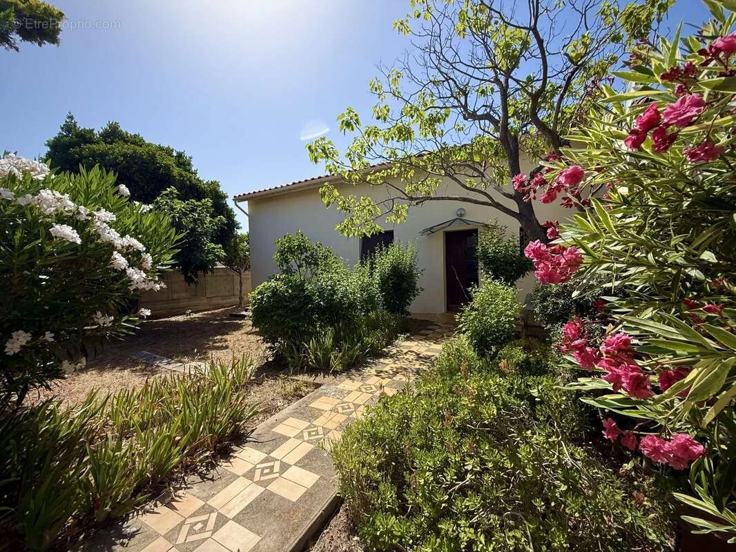Maison à CAVES
