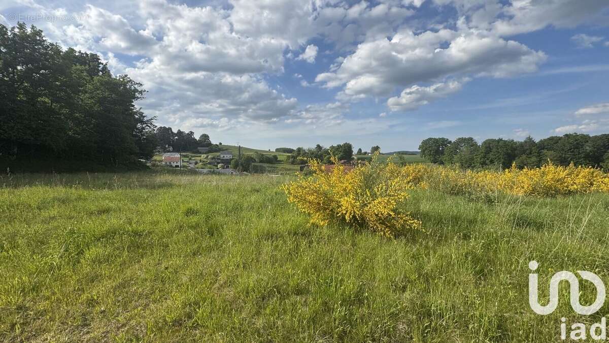 Photo 3 - Terrain à HADOL